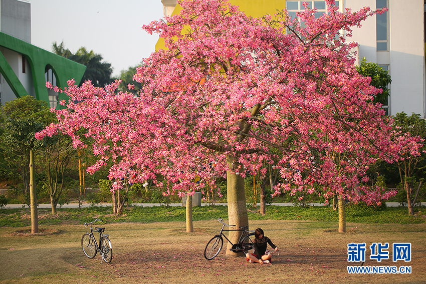 2017南沙国际邮轮旅游文化节开幕