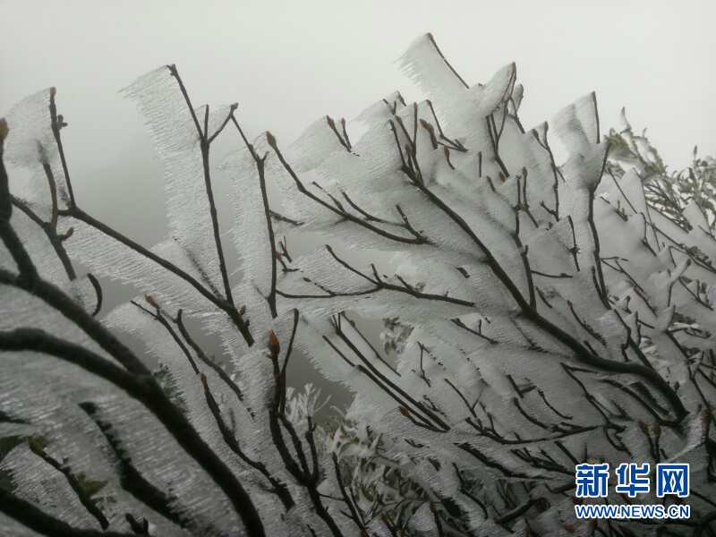 广东韶关乐昌出现冰凌花奇观