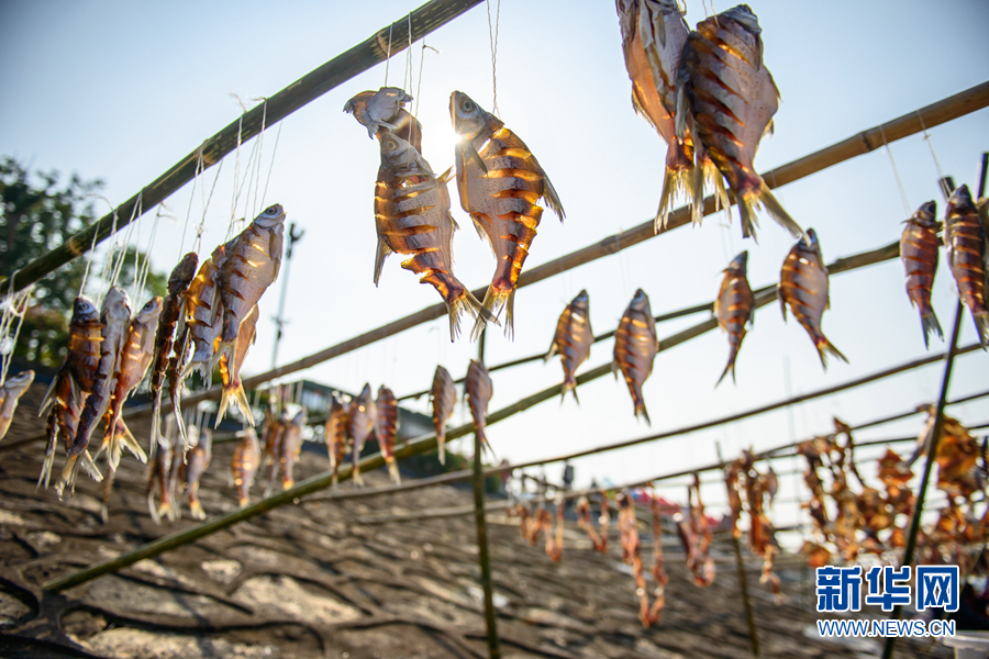 北江鱼干旅游美食节 活化疍家特色文化