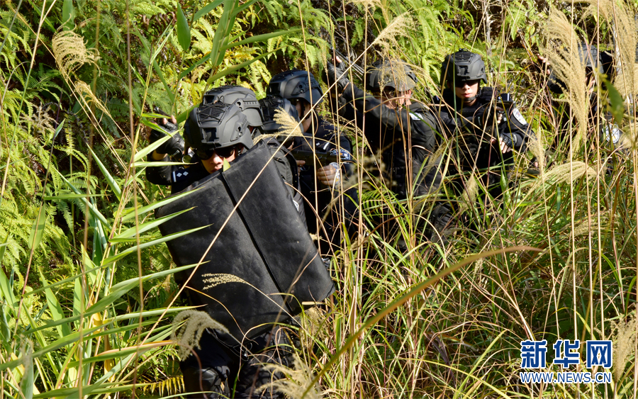 真实版战狼出击 上演山地围捕大片