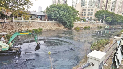 广州四洗治理黑臭河涌