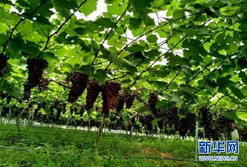 科普乐采风活动在特色科普基地举办