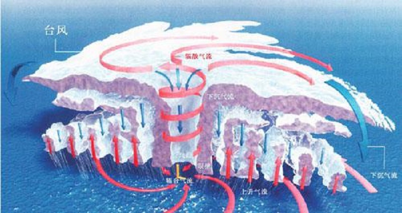 科普|双台风、冬打雷 这些奇怪的现象你知道吗