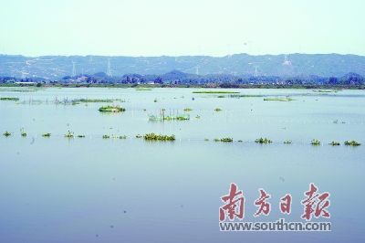 惠州三级湖长名单出炉