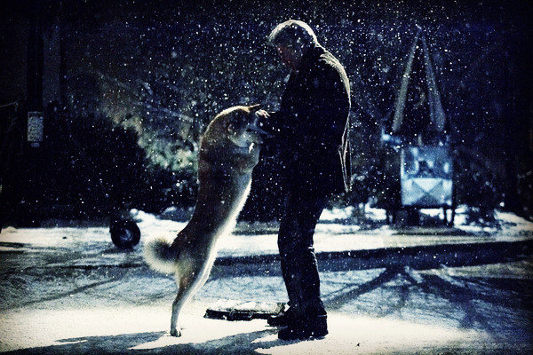 忠犬八公的故事丨我不得不离开，请相信我会永远陪在你身边