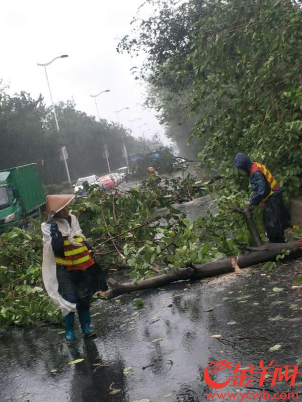 抢险一线!市政人,逆风、逆雨而行!