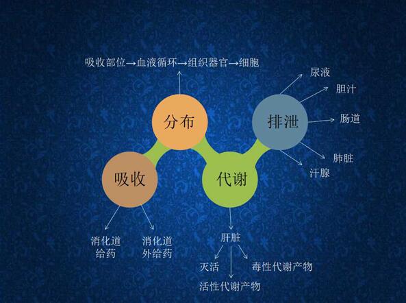 科普:药物的药路历程