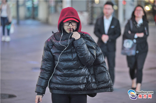 初冬天渐冷 南粤仍赏花