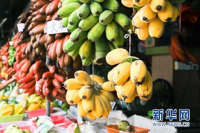 广州公布首批5条特色美食街区