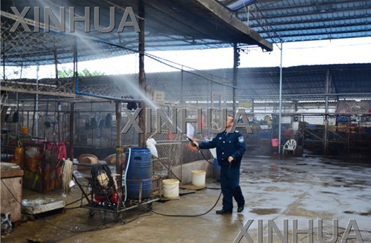广东活禽市场轮流休市消毒