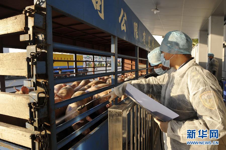 深圳出入境检验检疫:确保节前供港鲜活产品安