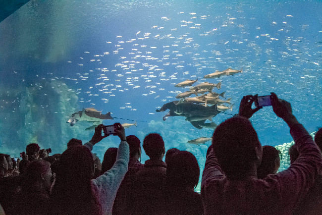 珠海面积最大的海洋主题公园将对外开放