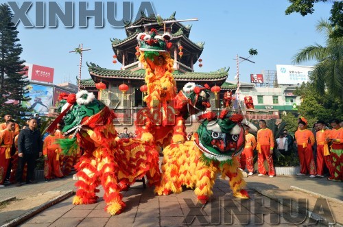 揭阳市民青狮展演庆新年