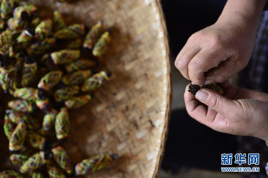 龙须茶:杯底菊花掌上枪