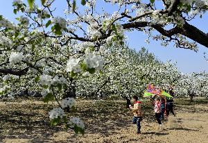 恒大换种活法 广东女排新赛季并入恒大女排