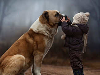 广州积分落户3步走:入户地址首选自有房产