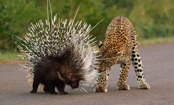 公安部:东莞涉黄事件共处理36名公安民警