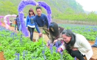 春节旅游“跟着汇率跑” 欧洲、日本游问津多