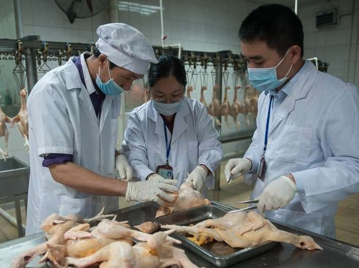 焦点图 - 新华网广东频道