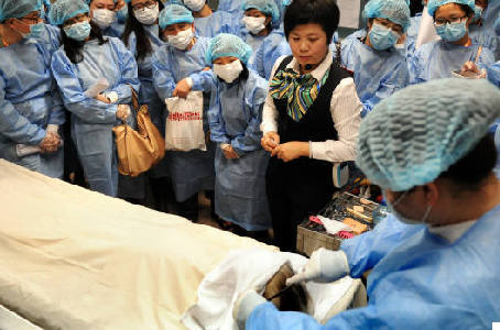 焦点图 - 新华网广东频道