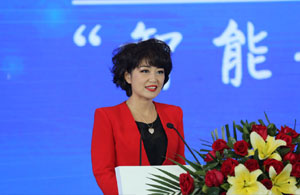 新华网主持人苑茵子