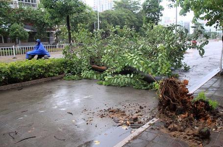 广州各学校8月3日起恢复正常作息、教学安排
