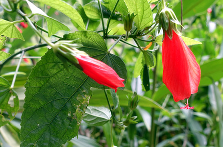 广州居民民生支出呼声最高的为医疗和教育