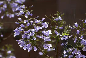 佛山:温暖的制造业大市