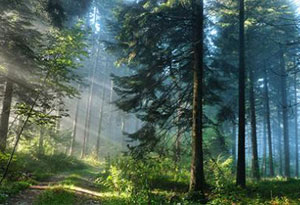 第三届中法大学生体育文艺周在珠海开幕