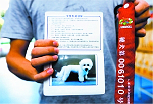 广州:物管谁来干 全体业主说了算