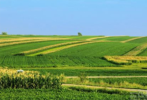 我国优等耕地主要分布在鄂湘粤三省