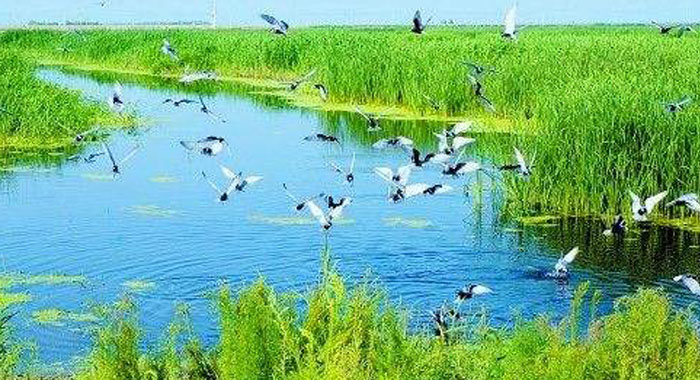 2018年广州第三十七届爱鸟周活动启动