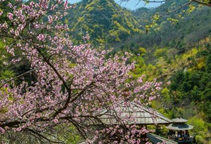 全国气温回升大面积破25℃ 广东广西沿海有暴雨