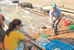 河源傳統捕魚方式:守梁捕魚 技傳500年