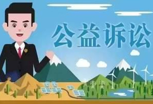 检察公益诉讼,保护绿水青山如何发力?