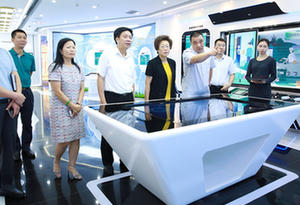 深圳市副市長吳以環調研康美藥業&ldquo;互聯網+醫療健康&rdquo;發展情況