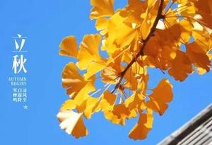 今日立秋 廣州挂黃色高溫預警