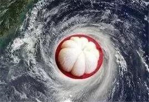 全力防御超强台风山竹 省防总维持防风Ⅲ级应