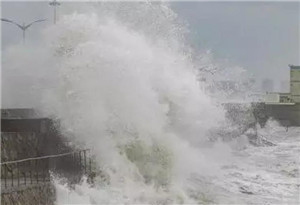 强台风山竹登陆广东 有关部门联合发布预警