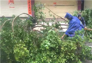 广东、广西两省区消防部队共营救1459人