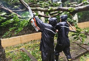 应急管理部发布台风山竹灾情及救援救灾情况