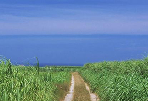 拼长假+错峰游 国庆假期广东预计6000万人次