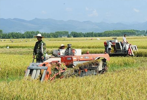 全国农作物耕种收综合机械化率超过67%