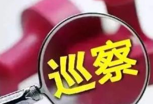 广州市委巡察组公布18个单位党组织巡察反馈
