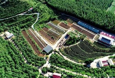 全省現代農業産業園將再增50個