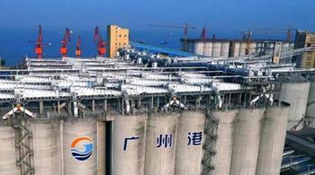 廣州港保障區域糧食産業鏈供應鏈穩定