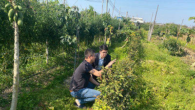 万象&ldquo;耕&rdquo;新 建行广州分行服务春耕备耕