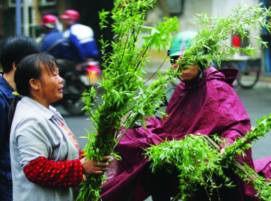 清明2007